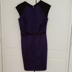 Cynthia Steffe dress- size 2